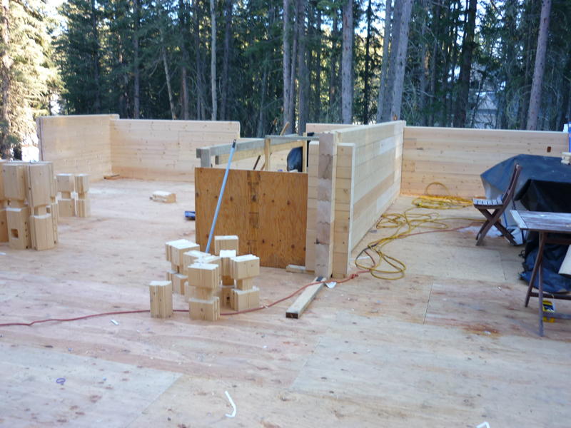 Calgary Log Home Project- Tamlin Homes-inside log wall