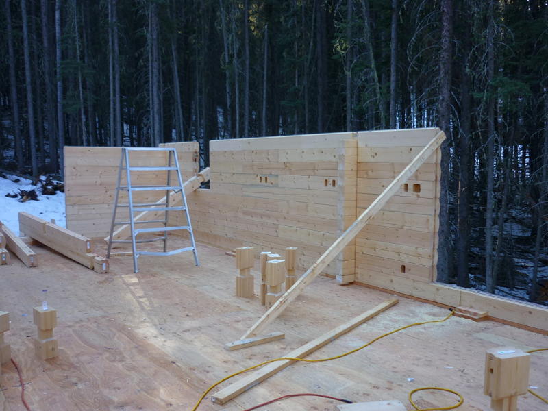 Calgary Log Home Project- Tamlin Homes-outside log wall