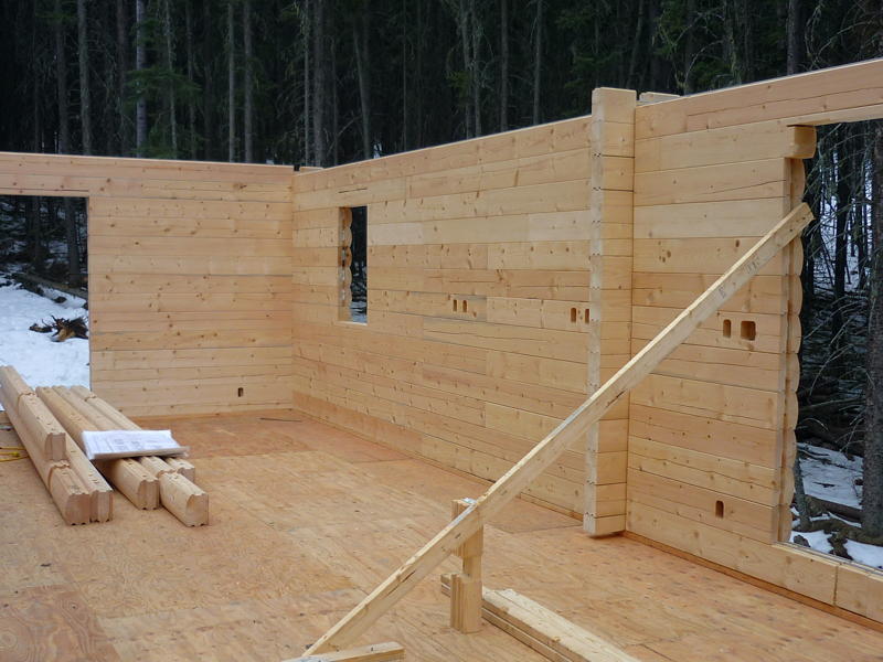 Calgary Log Home Project- Tamlin Homes-door opening