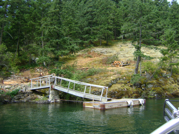 Tamlin Log Cabin Packages-Harrison Lake BC Project-Site_Prep-B