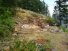Tamlin Log Cabin Packages-Harrison Lake BC Project-Site_Prep-A